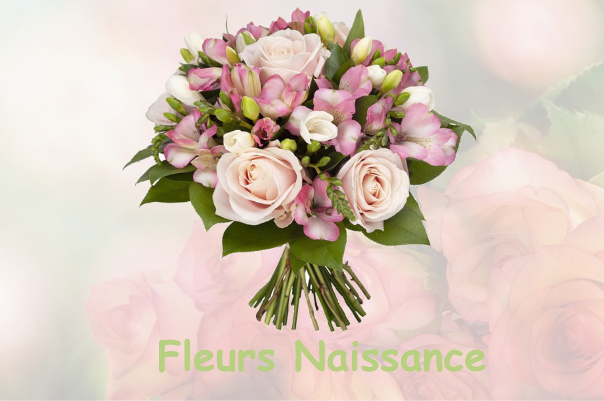 fleurs naissance PUGET-THENIERS