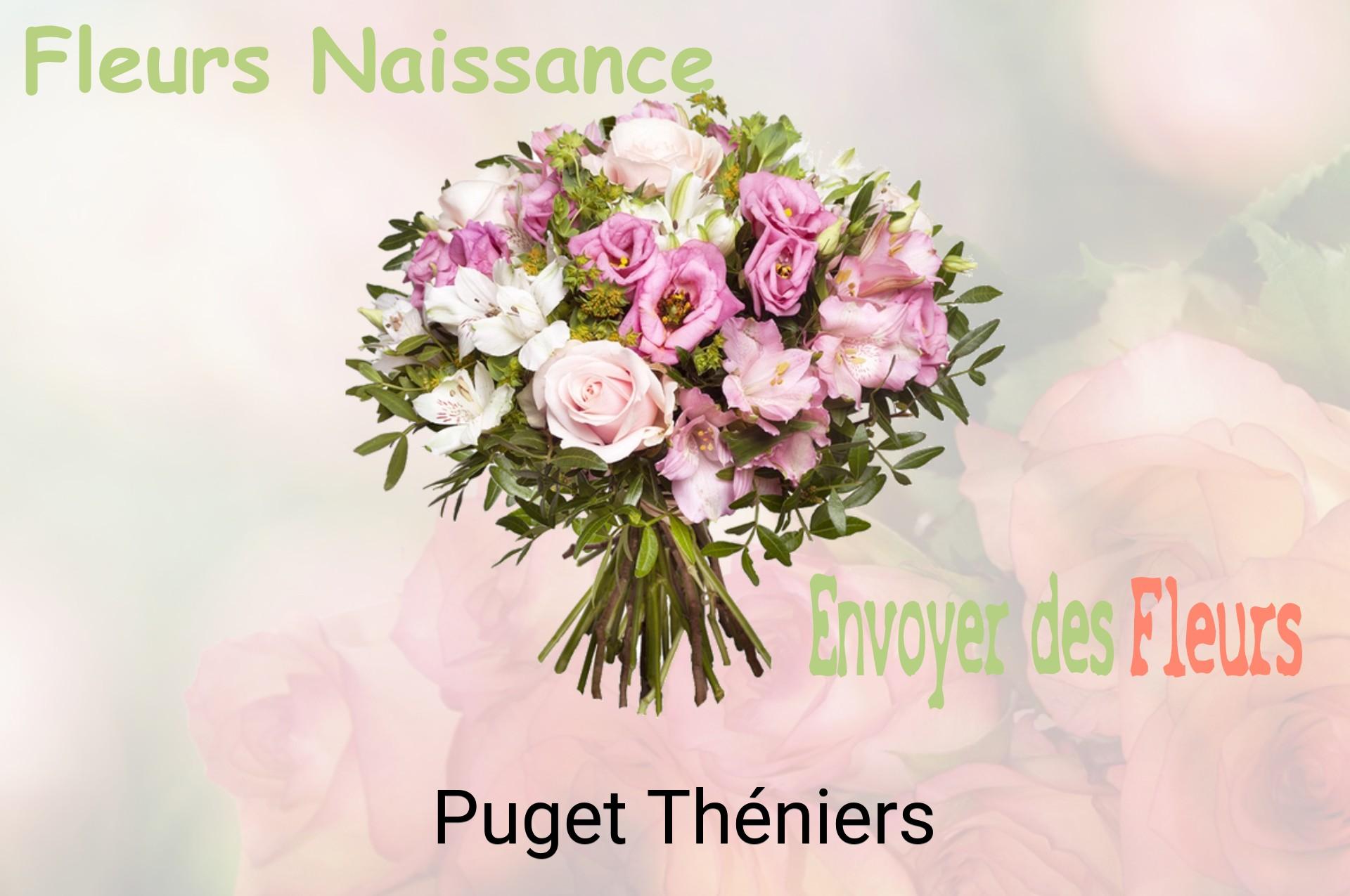 Bouquet de fleurs de naissance livré à Puget-Théniers