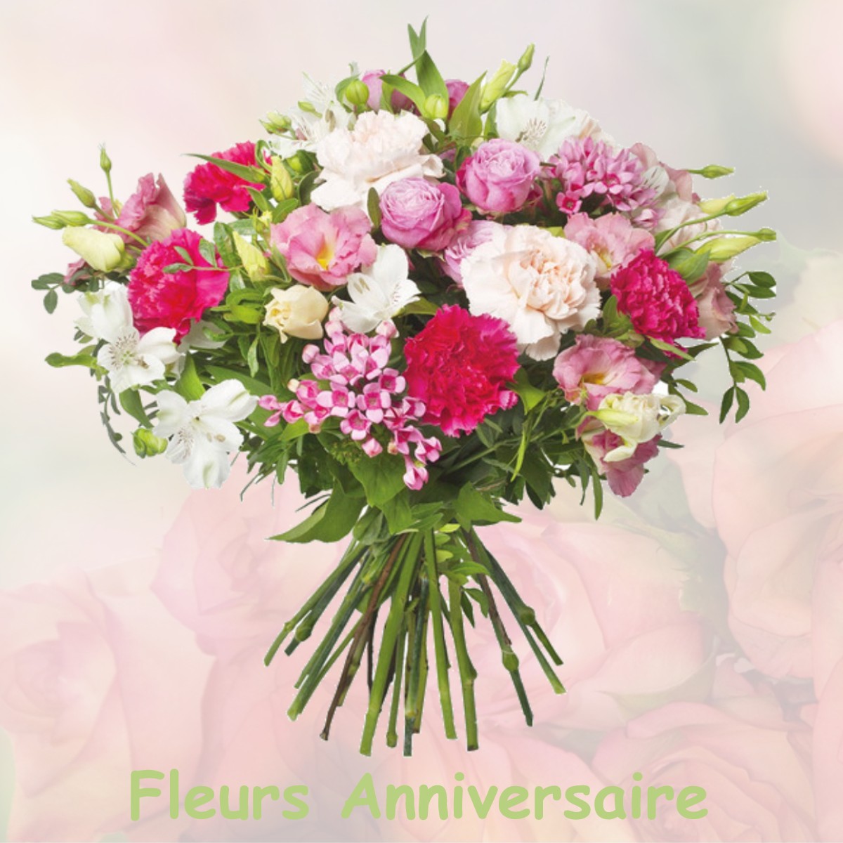 fleurs anniversaire PUGET-THENIERS