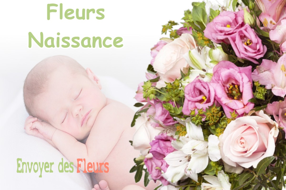 lIVRAISON FLEURS NAISSANCE à PUGET-THENIERS